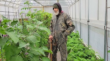 Will IT Be ENOUGH? Jan 20, 2022 with Freeze Warnings Ahead