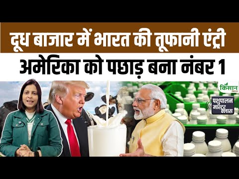 गाय के दूध उत्पादन में India नंबर वन: America और China को पीछे छोड़ बनाया World Record। Cow Farming
