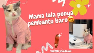 MAMI VINSCA BERSIH' RUMAH di BANTU MAMA LALA😁| Dreamy L10 Prime by Vinscaara 2,491 views 7 months ago 3 minutes, 59 seconds