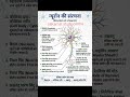 🧠 न्यूरॉन की संरचना आसान भाषा में!डेंड्राइट्स से लेकर एक्सॉन टर्मिनल तक, कैसे यात्रा करता है।