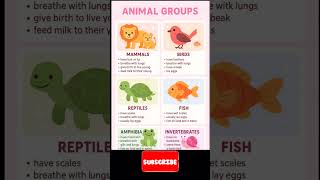 What are the 7 main animal groups? ! Animal Group ! Animal Groups Names #AnimalGroups #shorts