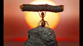 Invincible - Mgk Feat. Ester Dean Resimi