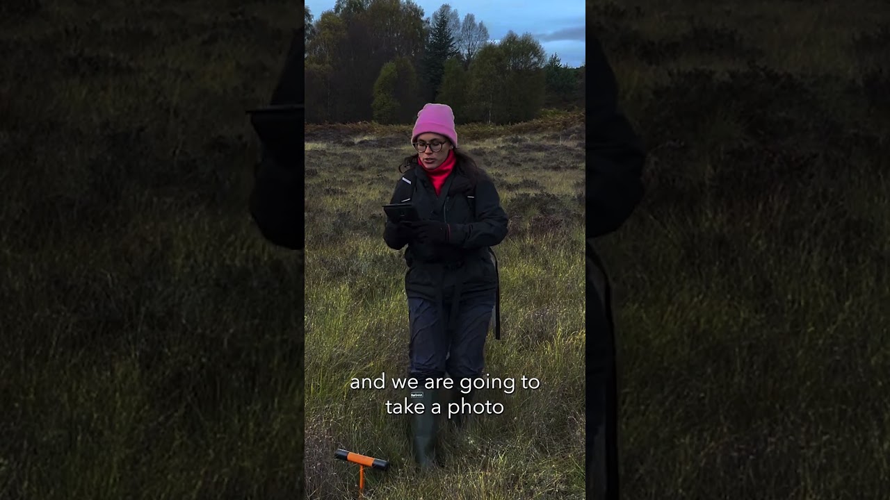 How to conduct a peatland survey?