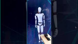 Meet AI Humanoid