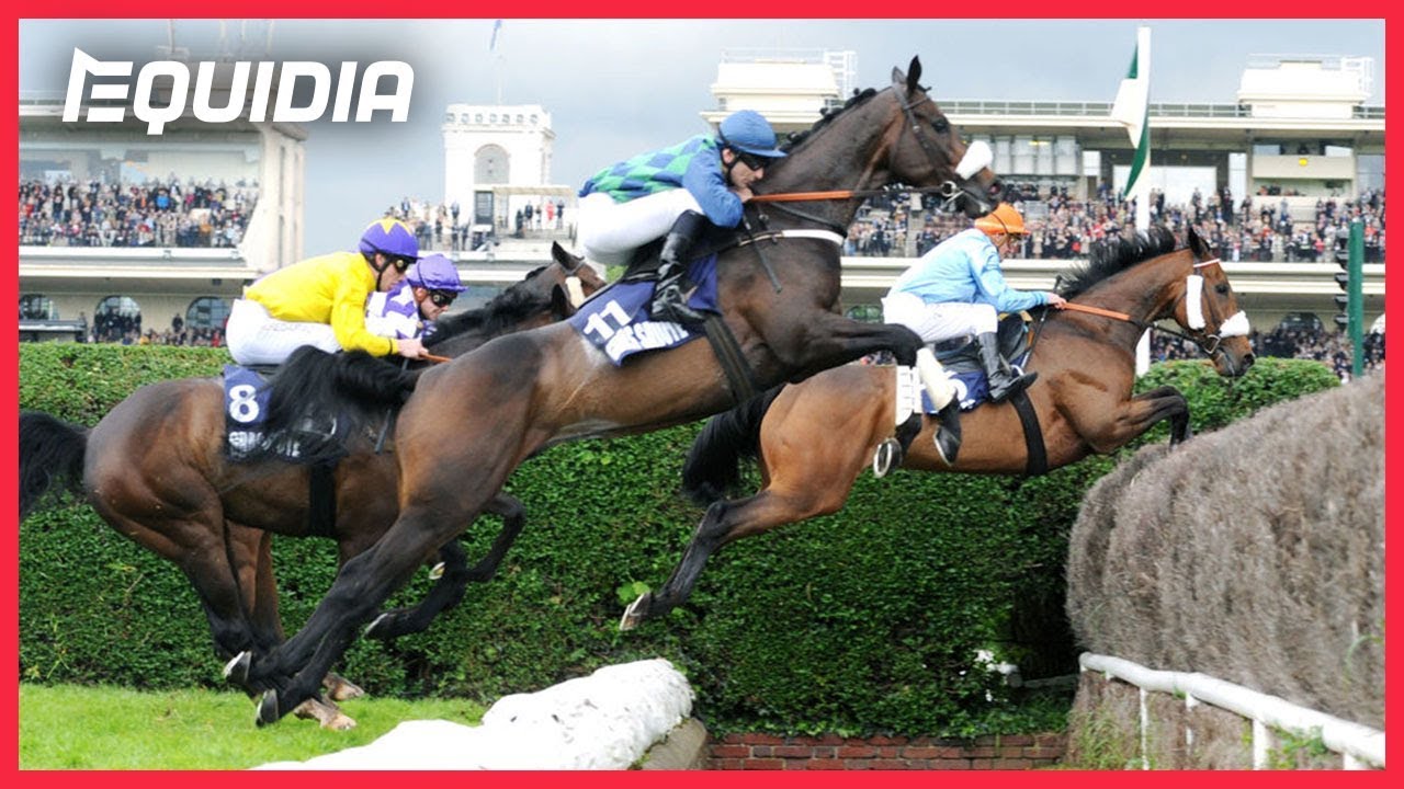 GRAND STEEPLE CHASE 2013 : BEL LA VIE