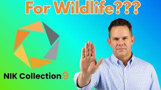 Nik Collection 9 for Wildlife Photography: Is It Just Hype?? screenshot 2