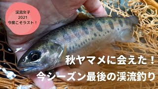 秋ヤマメに会えた 今シーズン最後の渓流釣り Fishpass フィッシュパス