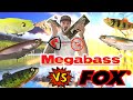 Leurre big baits fox rage vs megabass