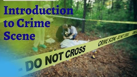 introduction to Crime scene.