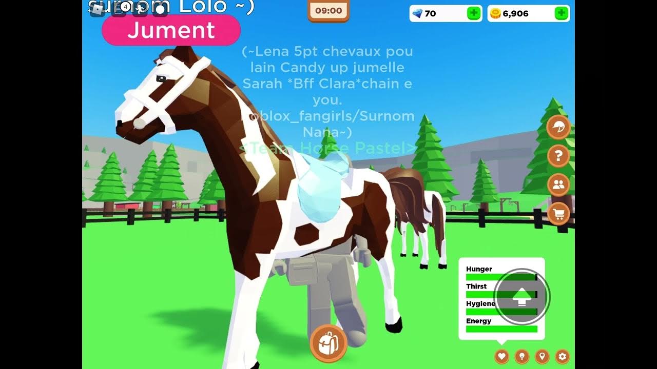 NOUVEAU CHEVAL sur horse valley (Race Paint horse)*Roblox* YouTube