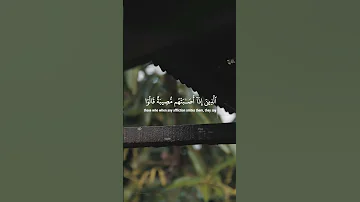 ولنبلونكم بشيء من الخوف والجوع اسلام صبحي 