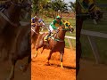 OLENKA JQM - Campeã do TORNEIO ENCERRAMENTO (Jockey Club de Sorocaba) #horsejockey #cavalo