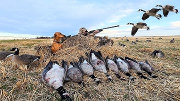 MY BEST SOLO HUNT YET! 8 BIRDS 3 FLOCKS 15 MINUTES!