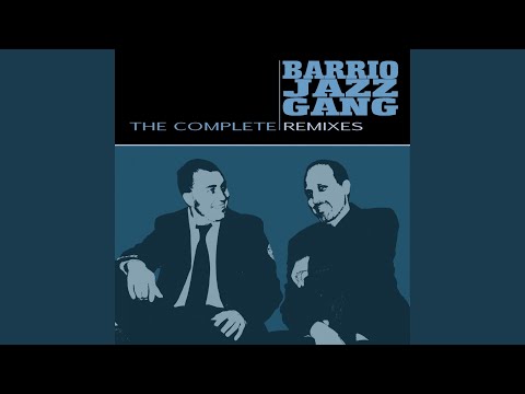 My Favorite Beats (Barrio Jazz Gang Remix)