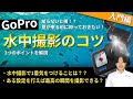 【GoPro 水中撮影のコツ】知らないと損してしまうかも！！海・川・プールで大活躍