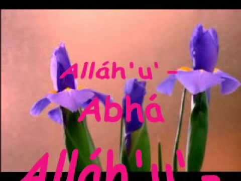 Allah U Abha Flower Blooming Blumen Nature الله ابهی Youtube