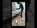 gt fishing 🎣🐟 #kokanfishing #onlyfishing #subscribe #vairalshort #vairalvideo #gtfishing