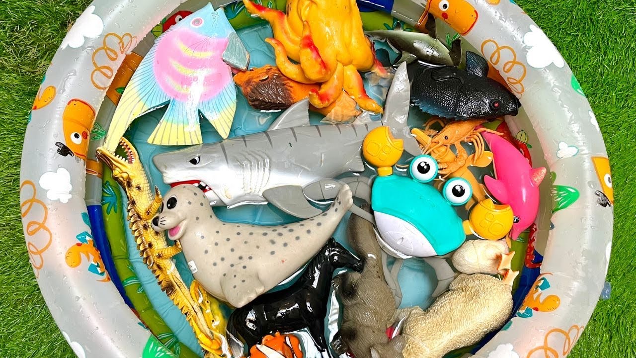 Toy learning ocean animals creature | learn ocean animals for preschoolers