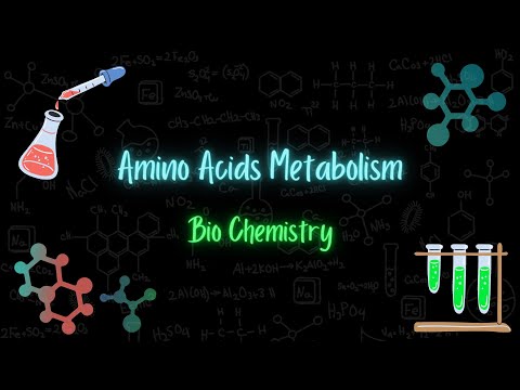 Amino Acids Metabolism - استقلاب الحموض الأمينية - Bio chemistry - تعلم بالعربي