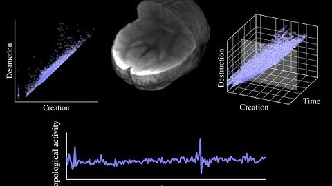 Uncovering the Topology of Time-Varying fMRI Data using Cubical  Persistence (spooky version)