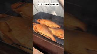Коптим лещей #лещ #копченаярыба #копченая #рыба #рыбалка #горячеекопчение #ладога