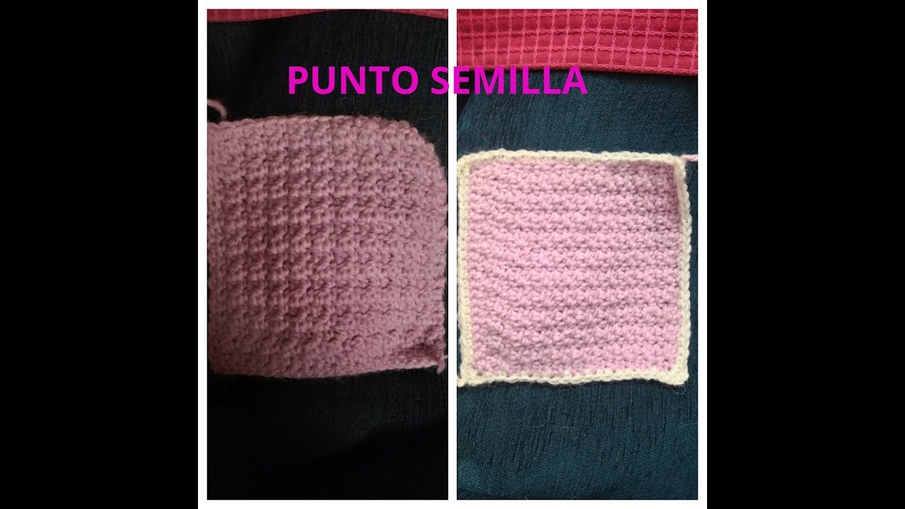 PUNTO SEMILLA
