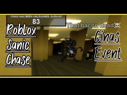 playing sanic chase until cinas is HERE - YouTube