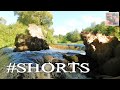 ВОДОПАД на реке ВЯТА... 02... #shorts ...Под Миорами - БЕЛАРУСЬ