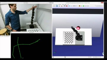 Cyton collaborative robot detects and avoids collisions