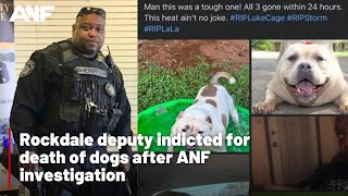 Rockdale deputy indicted for death of dogs after ANF investigation
