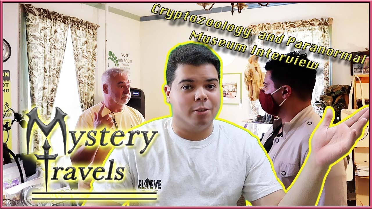 Interview with Stephen Barcelo