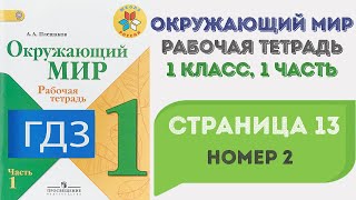 Окружающий мир. Рабочая тетрадь 1 класс 1 часть. ГДЗ стр. 13 №2