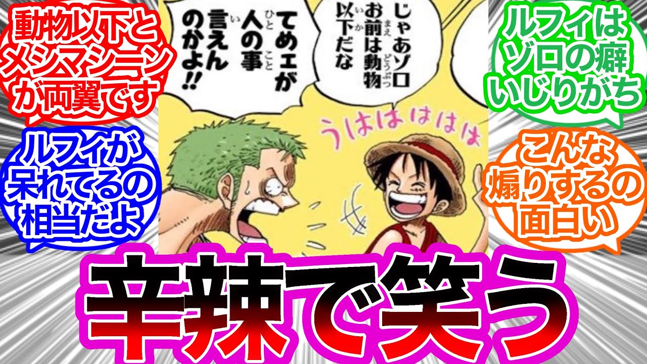 ルフィ『じゃあゾロ お前は動物以下だな』に対するみんなの反応集 
