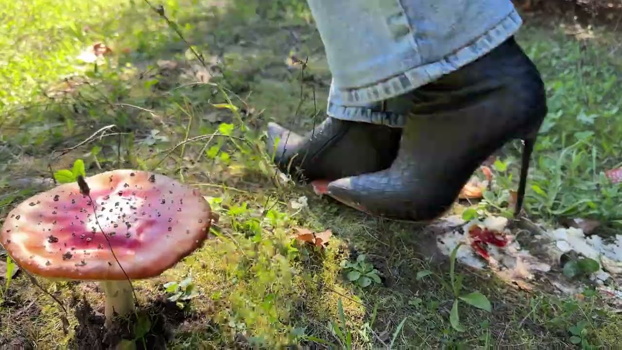 Crash mushrooms in the forest in high heels.
