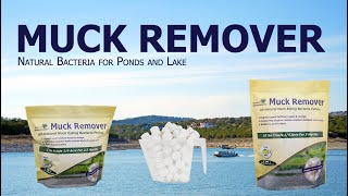 Muck Remover - Natural Bacteria Treatments for your Pond and Lake