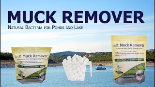 Muck Remover  Natural Bacteria Treatments for your Pond and Lake