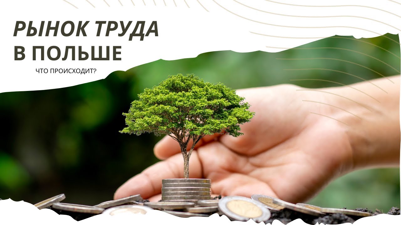 Рынок труда в Польше. Нехватка IT специалистов?!