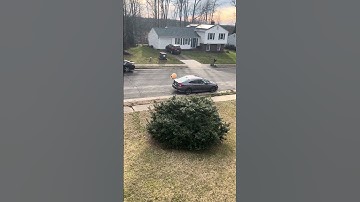 Pou Needs To Be Saved… #pou #plushtoy