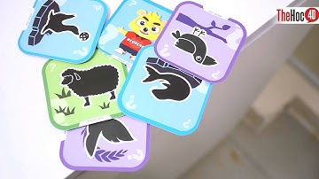 GIỚI THIỆU BỘ SẢN PHẨM VƯỜN THÚ 4D