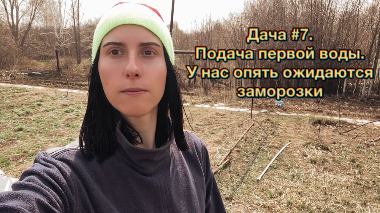 Дача #7. Дали пробную воду. У нас снова ожидаются заморозки. #дача # ...