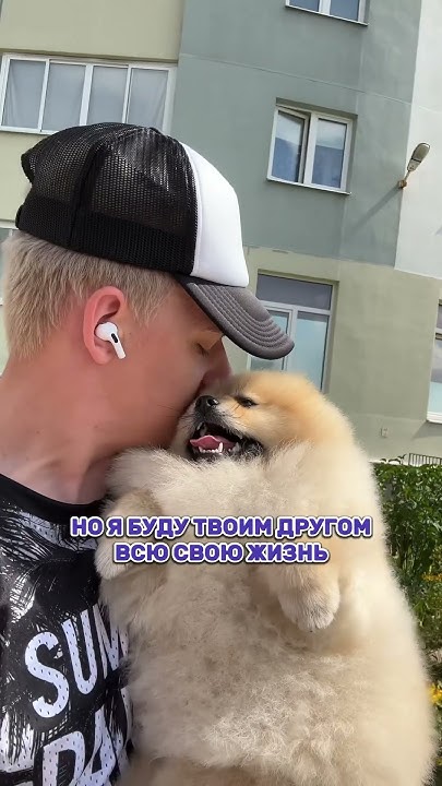 ДО СЛЕЗ… - YouTube