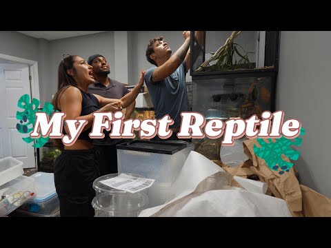 I bought my first reptile!!