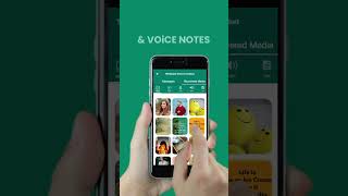 Recover Deleted Messages All