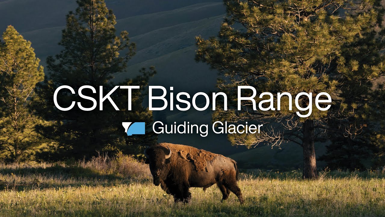 Guiding Glacier: A Day in Western Montana at the CSKT Bison Range