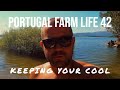 Portugal Farm Life - 42 - Summer time swim in Central Portugal