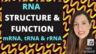 RNA Nucleic Acid Structure & Function:A-level. Do you know the differences between mRNA, tRNA &rRNA?