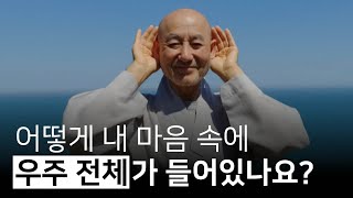 허상으로 꿈과 같이 존재하는 이 모든 세계가 다 자기 것인 것을 압니다 | 잠자는 붓다 깨우기, 정봉무무 스님의 소참법문