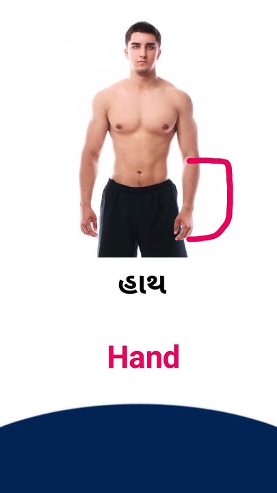 hand-meaning-in-gujarati-english-dictionary-youtube