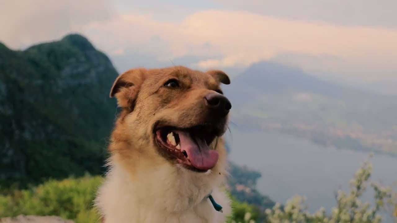 Solo Exploring the French Alps - Annecy & Chamonix (Relaxing Video)