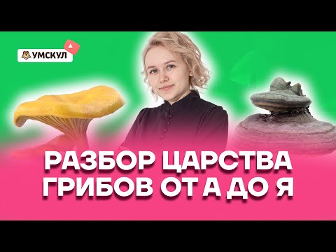 Разбор царства грибов от А до Я | Биология ОГЭ 2022 | Умскул